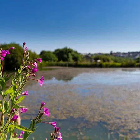 Lynstone Lakes Lodge Bude